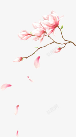 创意水彩手绘粉红色的桃花素材