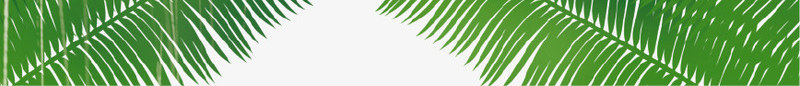 绿色清新热带粽叶装饰图案psd免抠素材_88icon https://88icon.com 旅游 清新 热带 粽叶 绿色 背景 装饰图案