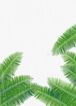 绿色清新热带粽叶装饰图案素材