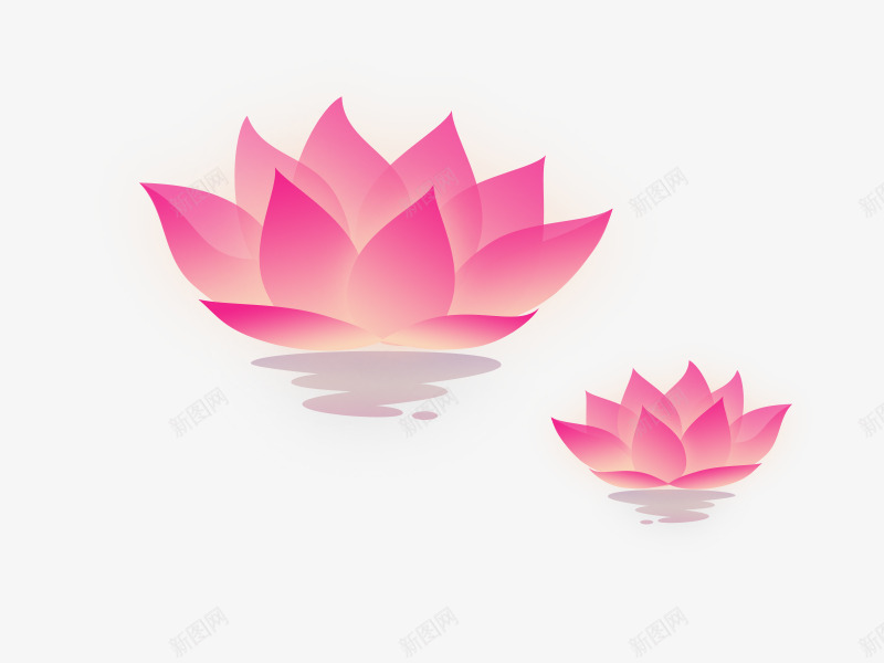 水中的荷花psd免抠素材_88icon https://88icon.com 图片素材 水中央 粉红色 荷花