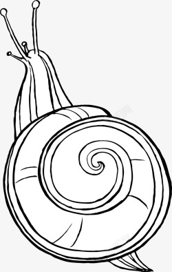 黑白壳蜗牛矢量图高清图片