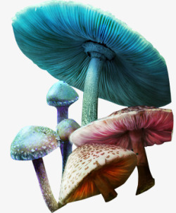 摄影蓝色的蘑菇形状素材