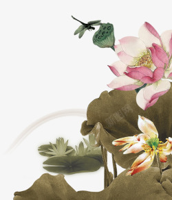 中国画荷花蜻蜓素材