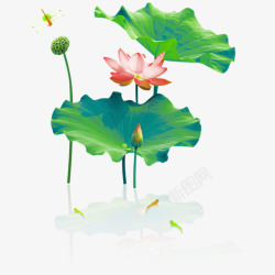 绿色中国风荷花装饰图案素材