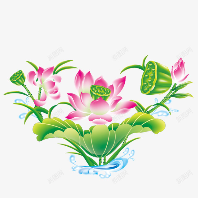 粉色的荷花和绿色的莲藕png免抠素材_88icon https://88icon.com 粉色 绿色 荷花 莲藕