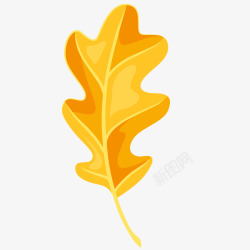 秋天树叶矢量图素材
