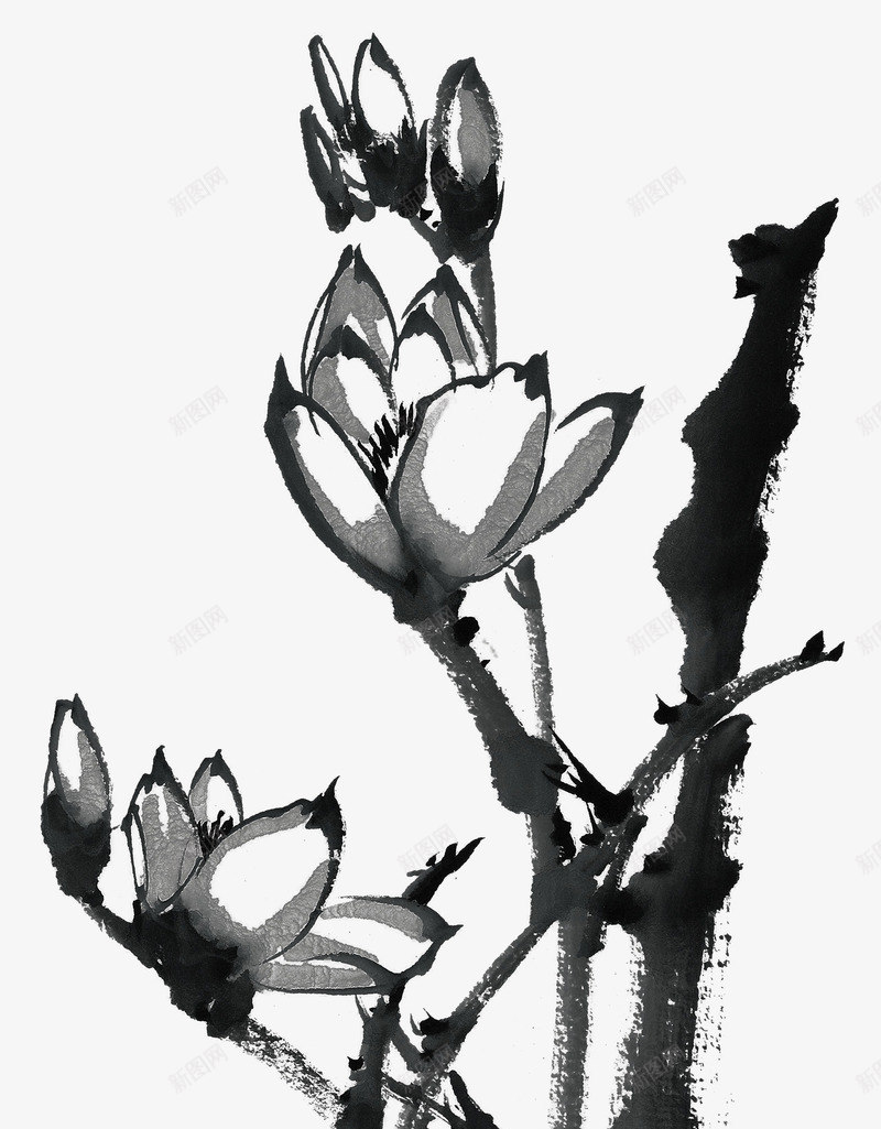 黑色水墨荷png免抠素材_88icon https://88icon.com 手绘 水墨 水墨荷 荷花 黑色