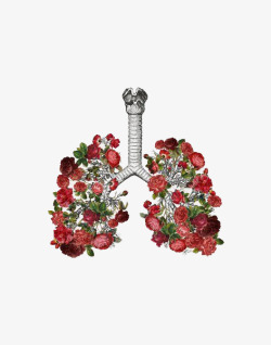 肺部元素素材