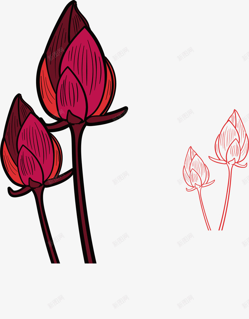 手绘红色荷花花苞png免抠素材_88icon https://88icon.com 中秋节 矢量png 红色荷花 荷花 荷花塘 荷花花苞