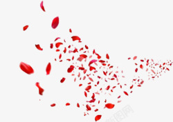 飞舞的红色花瓣七夕情人节素材