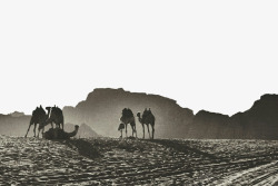 沙漠骆驼黑白背景素材