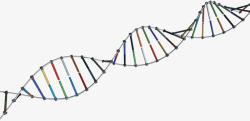 彩色螺旋基因模型医疗素材