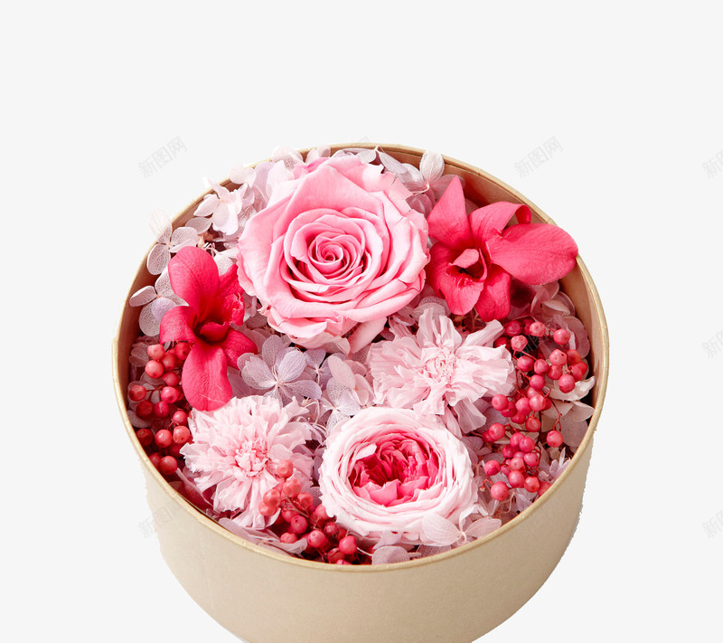 粉色玫瑰花装饰礼盒psd免抠素材_88icon https://88icon.com 免费图片png 玫瑰花 粉色 装饰礼盒