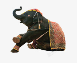 大象模型素材