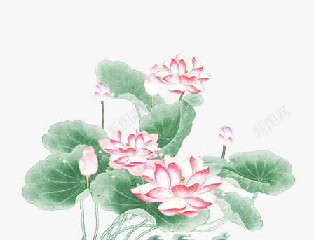 中国风荷花png免抠素材_88icon https://88icon.com 中国风 荷叶 荷花