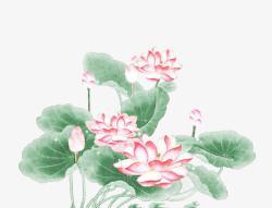 中国风荷花素材