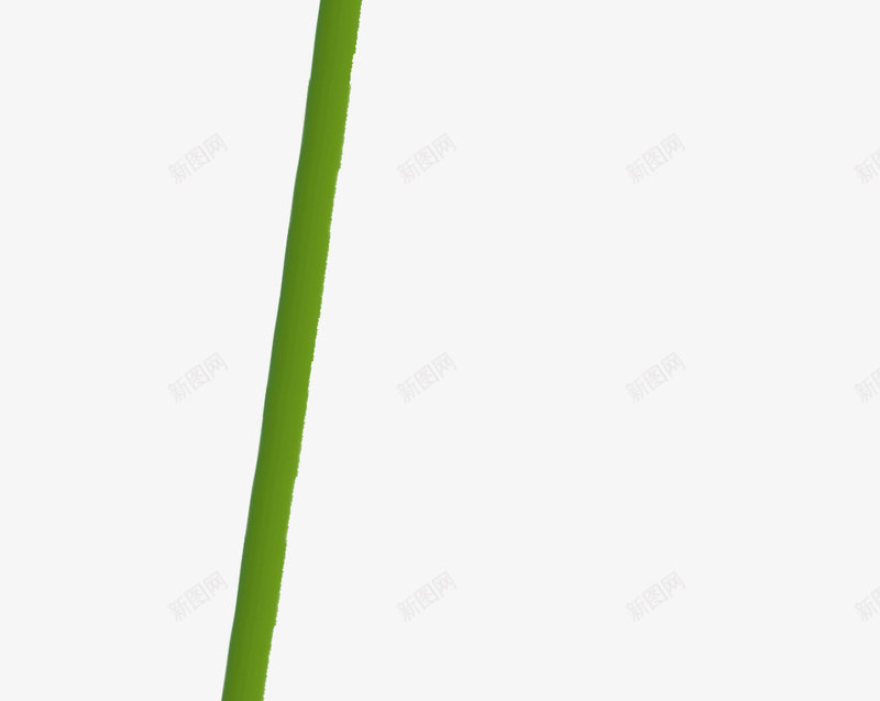 粉色荷花绿根装饰png免抠素材_88icon https://88icon.com 粉色 荷花 装饰