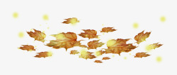 落叶枫叶黄色背景装饰素材