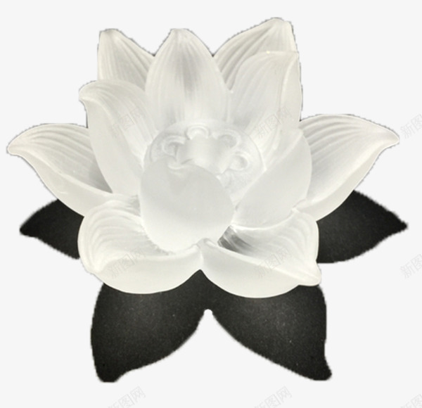 琉璃绽放白色水晶睡莲png免抠素材_88icon https://88icon.com 池塘 琉璃绽放白色侧面睡莲 白睡莲 白色 白莲 睡莲 花卉之荷花 花蕊 黄色花蕊