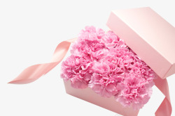 粉色花朵植物礼盒素材