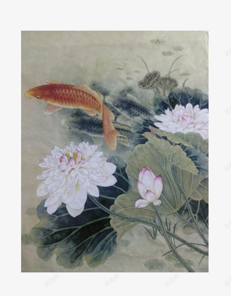 国画鱼莲花png免抠素材_88icon https://88icon.com 国画 荷花 莲花 蓝莲花 鱼