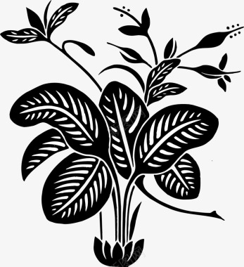植物黑白装饰画黑白手绘花草图案图标图标