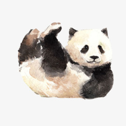 国宝熊猫玩耍片素材
