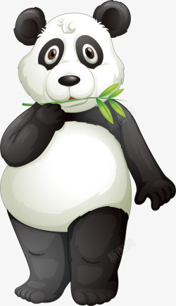吃竹子的大熊猫素材