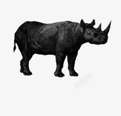 动物手绘黑白犀牛素材