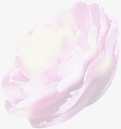 粉色梦幻护肤品花朵装饰素材