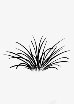 绘画植物小草黑白素材