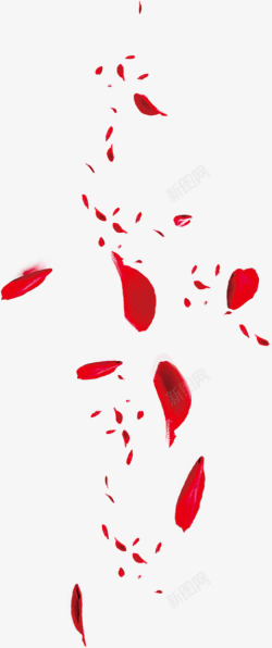 散落散落的红色玫瑰花花瓣高清图片