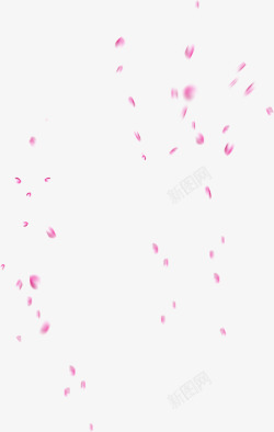 粉色花瓣飘落七夕素材