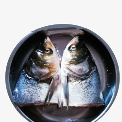 产品实物鱼头花鲢鱼素材