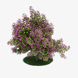 花圃模型花圃高清图片