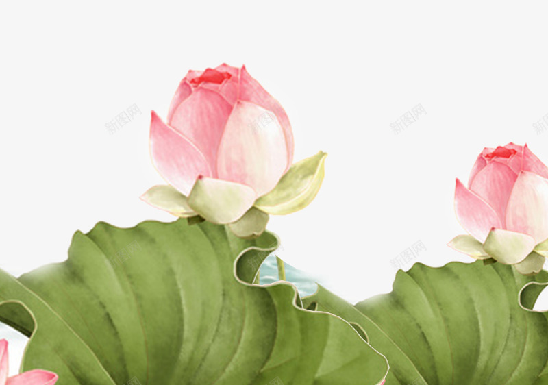 春季促销宣传海报psd免抠素材_88icon https://88icon.com 促销 宣传 春季 春季促销宣传海报 海报 荷叶 荷花 谷雨