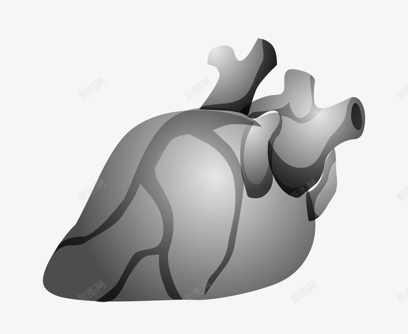 心脏血管png免抠素材_88icon https://88icon.com 人类 健康 冠心病 循环 心脏 心脏病学 心血管 流动 血液 解剖