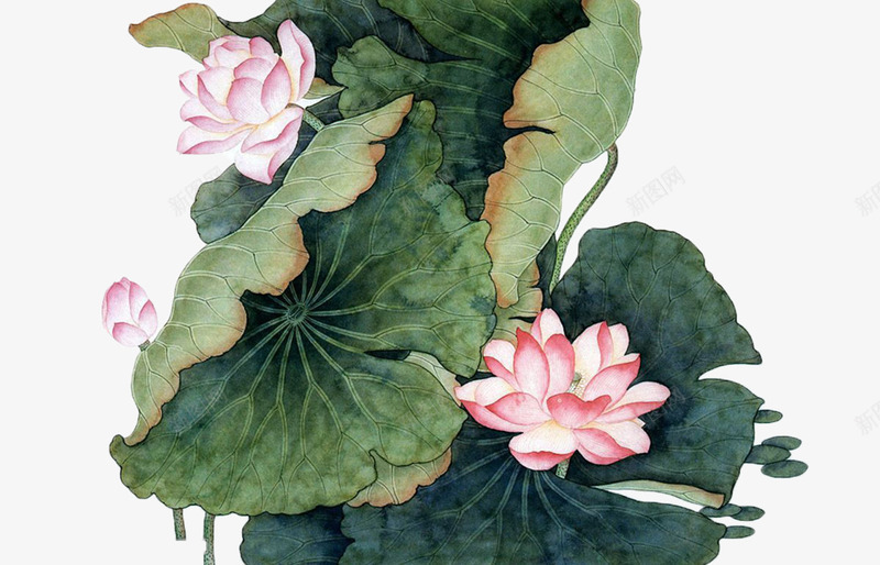 创意复古风格合成荷花png免抠素材_88icon https://88icon.com 创意 合成 复古 荷花 风格