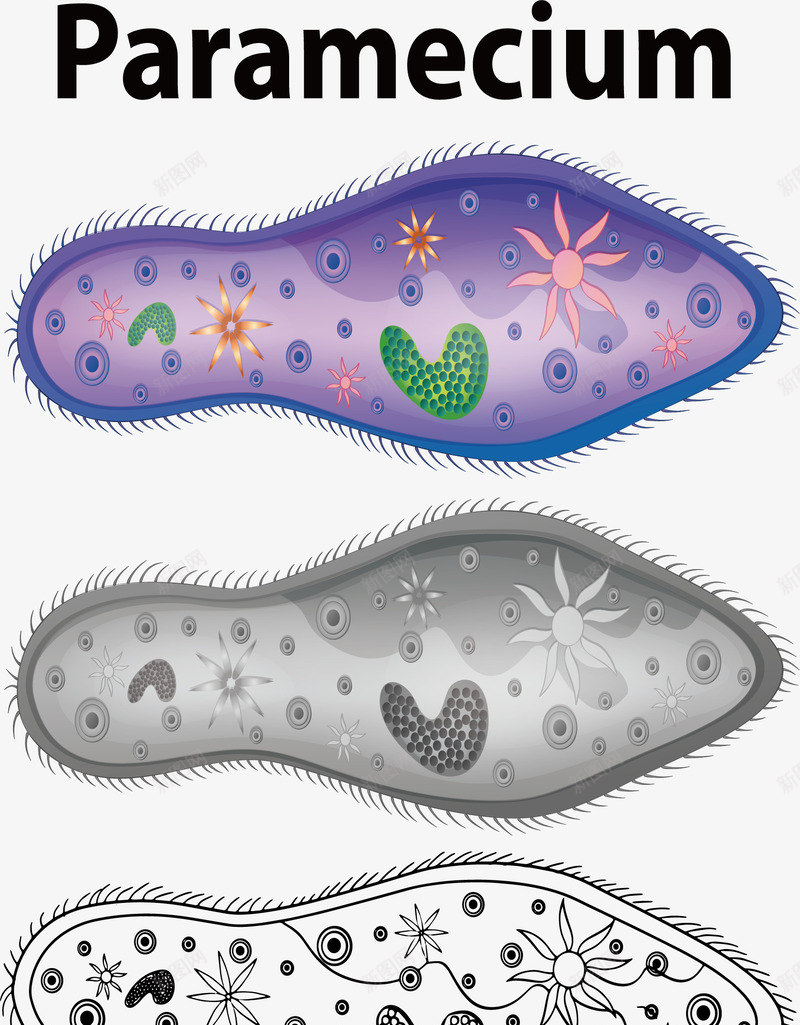 脚掌鞋垫沾染的细菌矢量图ai免抠素材_88icon https://88icon.com 卡通细菌 矢量png 矢量图 粉嫩足底 细菌 细菌模型 脚上的细菌 足底 鞋垫细菌