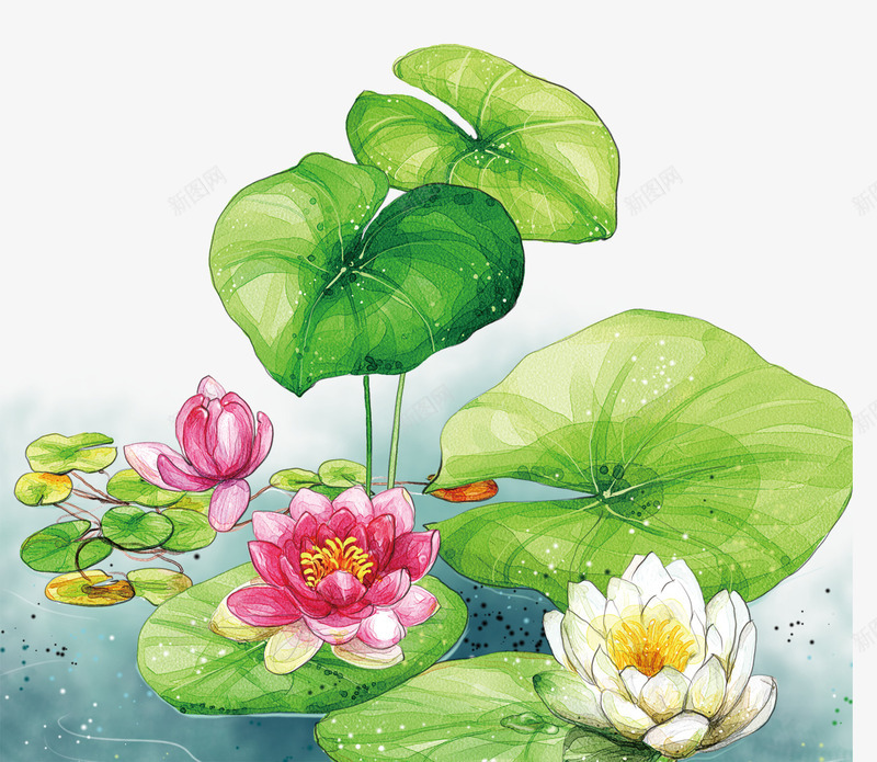 清新荷花png免抠素材_88icon https://88icon.com PNG 免费 免费素材 手绘 绿色 荷叶 荷花