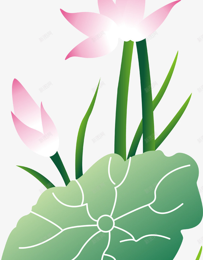 中国风手绘荷花psd免抠素材_88icon https://88icon.com 中国风 手绘 手绘藕 植物 水彩画 线描 荷叶 荷花 莲蓬 莲藕