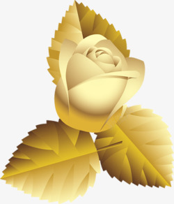 金色玫瑰背景七夕情人节素材
