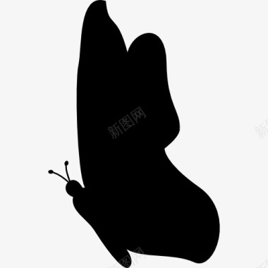 昆虫设计黑蝴蝶侧面轮廓形状图标图标