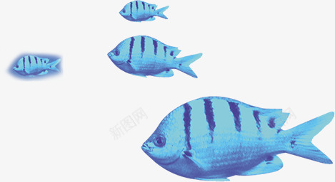 创意合成效果蓝色的鱼模型png免抠素材_88icon https://88icon.com 创意 合成 效果 模型 蓝色