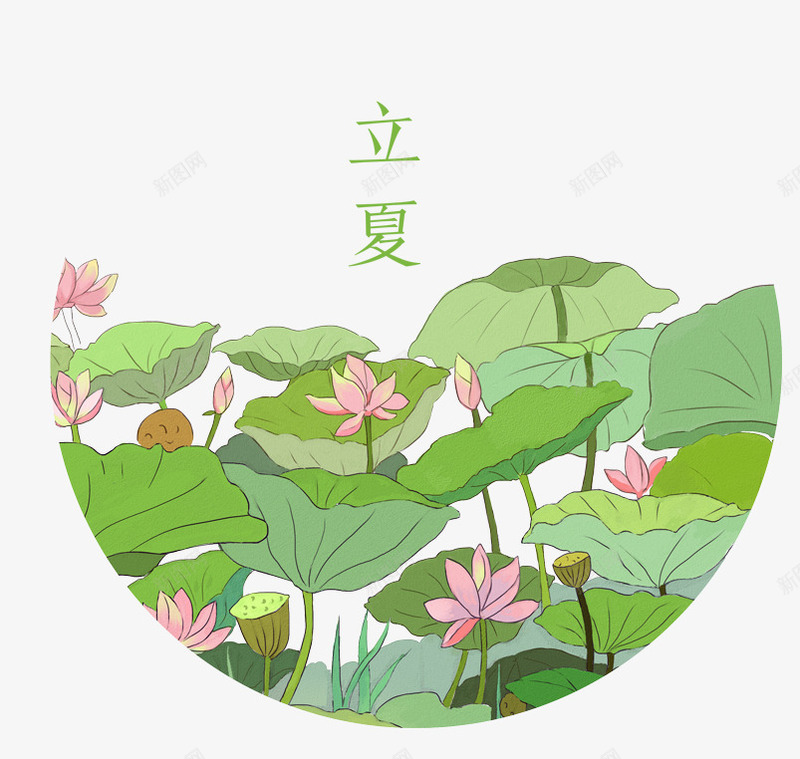 立夏节气装饰插图荷塘插画png免抠素材_88icon https://88icon.com 二十四节气 插画 立夏 荷叶 荷塘 荷花 装饰插图