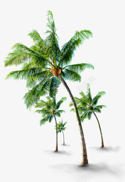 椰树卡通旅游海岛热带素材
