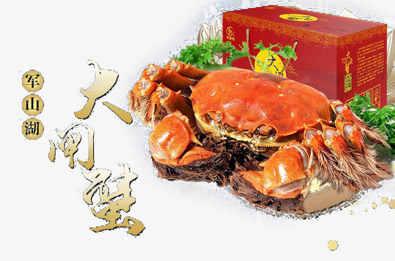 大闸蟹礼盒png免抠素材_88icon https://88icon.com 大闸蟹 礼盒图片 美食 螃蟹