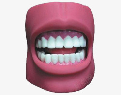 口腔牙齿模型素材