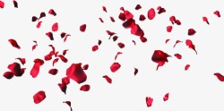 红色玫瑰花瓣七夕素材