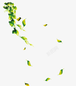 绿色蔓藤落叶素材